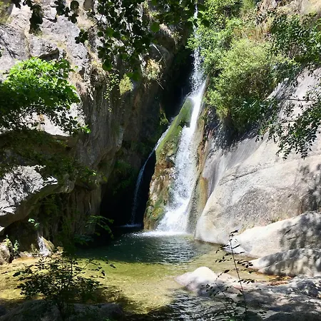 Gredos Abantera *